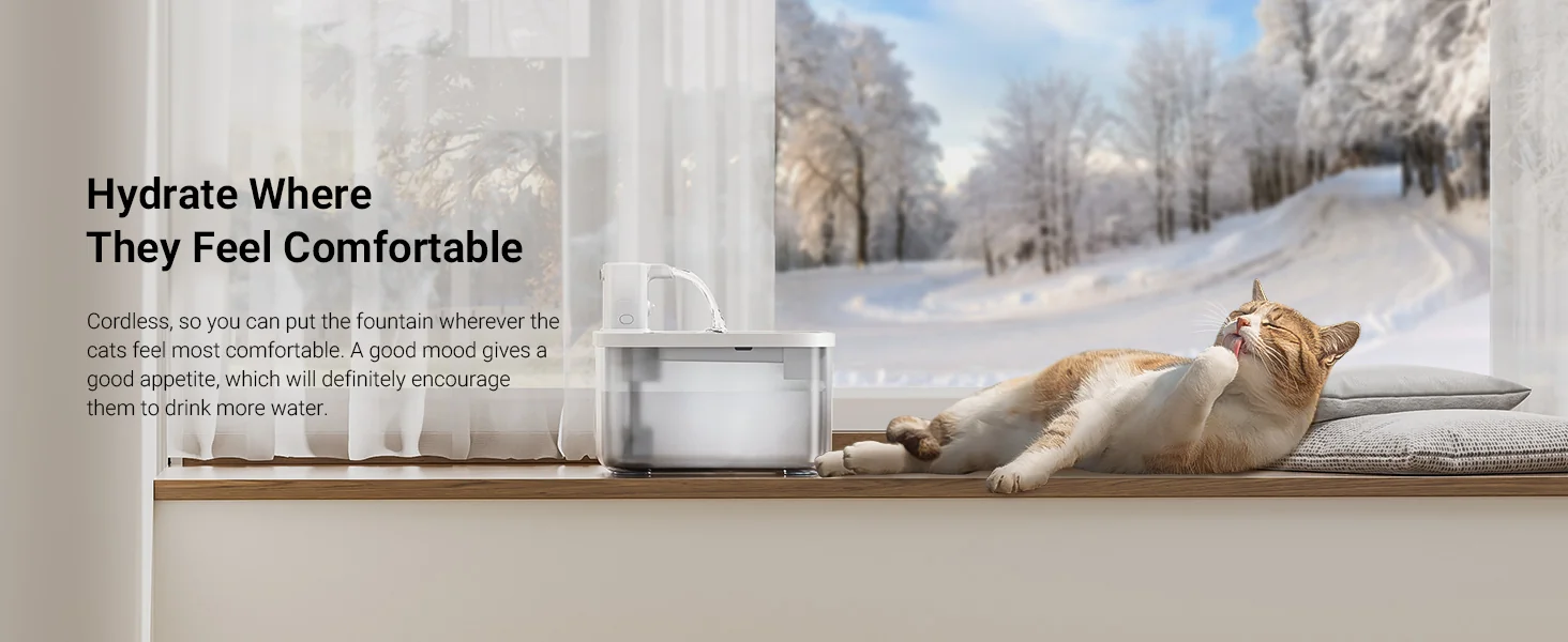 Pet Libro Water Fountain - Complete UK Guide